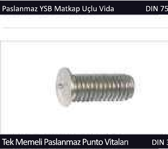Tek Memeli Paslanmaz Punto Vidası